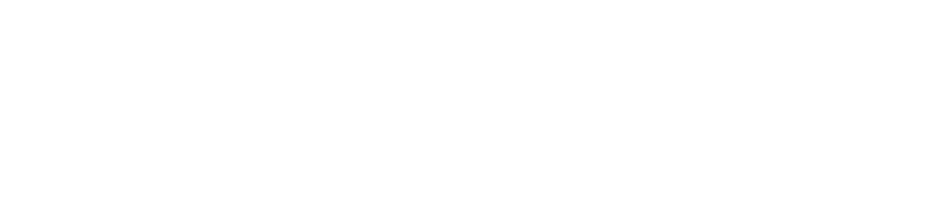 Unbottled x Vice Versa Logo